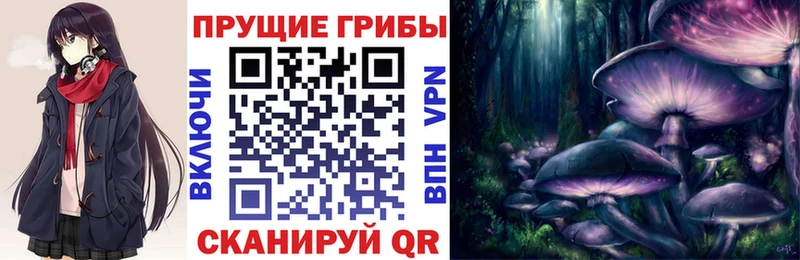 хочу наркоту  Новокузнецк  Псилоцибиновые грибы Psilocybine cubensis 