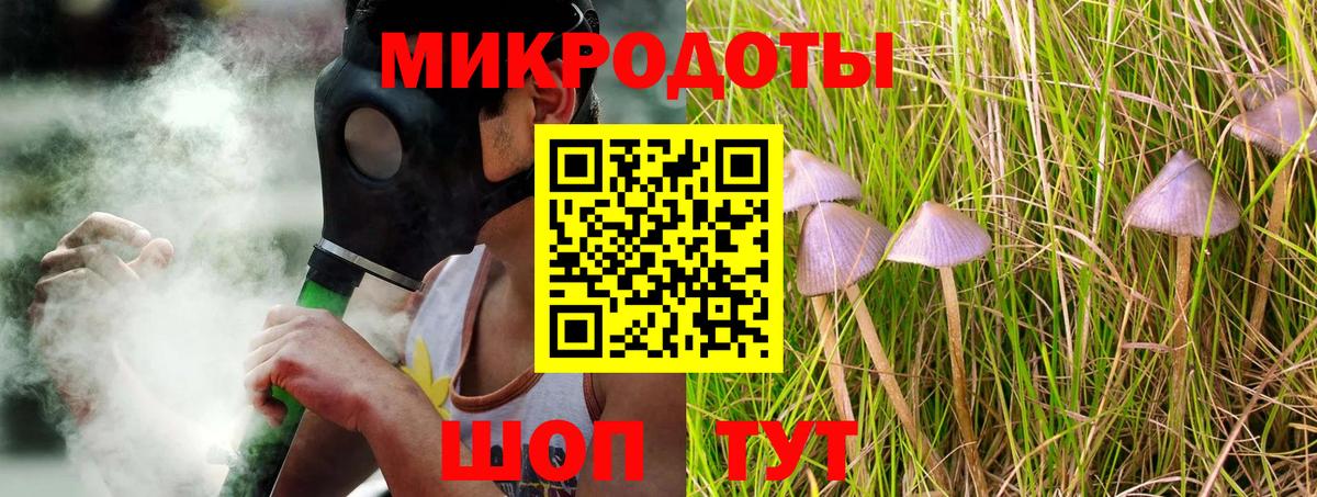 Россия  Псилоцибиновые грибы GOLDEN TEACHER  Вход с VPN  Псилоцибиновые грибы Psilocybine cubensis 